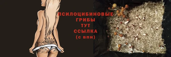 молекула духа Алексеевка