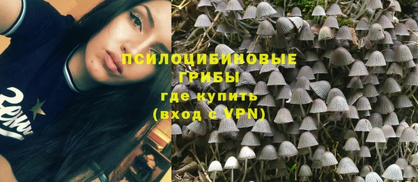 ешки Алексин