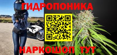 Альфа ПВП Кунгур