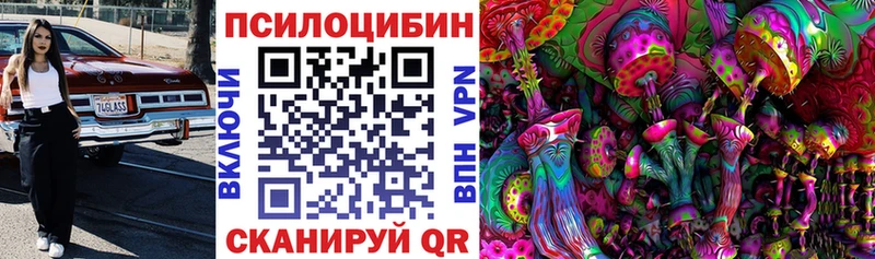 купить наркоту  Мичуринск  OMG маркетплейс  Псилоцибиновые грибы Psilocybine cubensis 