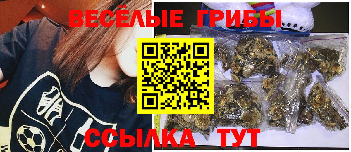 Галлюциногенные грибы ЛСД  Вход с VPN  Мичуринск 