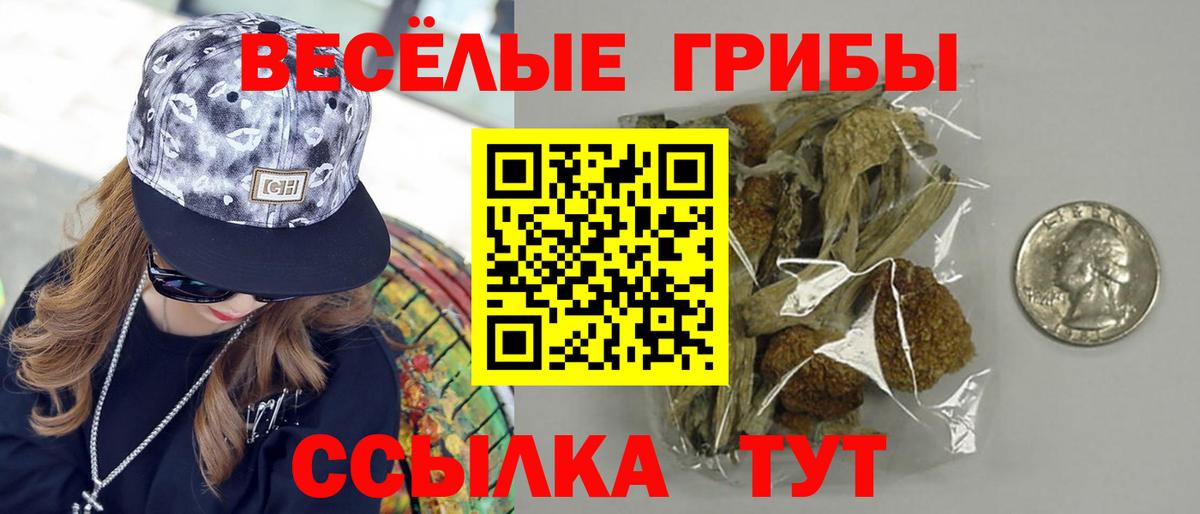 Псилоцибиновые грибы Psilocybe Мичуринск